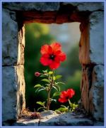 Klik op de afbeelding om de link te volgen