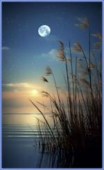 Klik op de afbeelding om de link te volgen