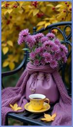 Klik op de afbeelding om de link te volgen