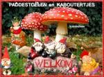 Klik op de afbeelding om de link te volgen