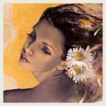 Klik op de afbeelding om de link te volgen