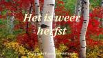 Klik op de afbeelding om de link te volgen