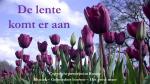Klik op de afbeelding om de link te volgen