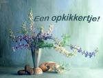 Klik op de afbeelding om de link te volgen