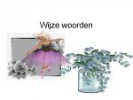 Klik op de afbeelding om de link te volgen
