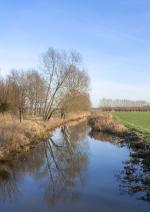 Klik op de afbeelding om de link te volgen