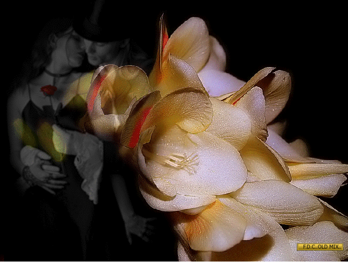 1502313-0c57c2e71a1a26b2f619f383a66c3951.gif
