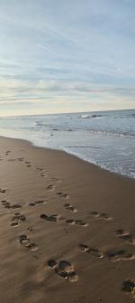 Klik op de afbeelding om de link te volgen