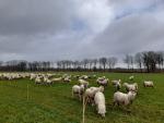 Klik op de afbeelding om de link te volgen