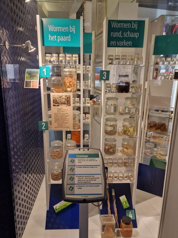 2683283-6f7dbb02a063d4737006742292e</div></body></html>