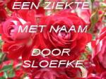 Klik op de afbeelding om de link te volgen