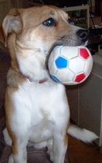 Klik op de afbeelding om de link te volgen