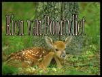 Klik op de afbeelding om de link te volgen