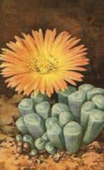 Klik op de afbeelding om de link te volgen