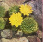 Klik op de afbeelding om de link te volgen