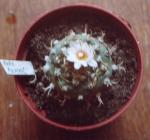 Klik op de afbeelding om de link te volgen