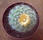 Klik op de afbeelding om de link te volgen