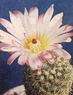 Klik op de afbeelding om de link te volgen