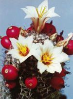 Klik op de afbeelding om de link te volgen