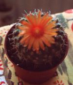 Klik op de afbeelding om de link te volgen