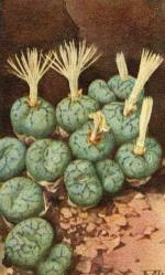 Klik op de afbeelding om de link te volgen