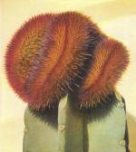 Klik op de afbeelding om de link te volgen