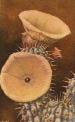 Klik op de afbeelding om de link te volgen