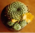 Klik op de afbeelding om de link te volgen