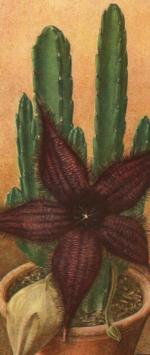 Klik op de afbeelding om de link te volgen