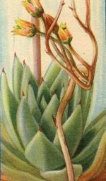 Klik op de afbeelding om de link te volgen