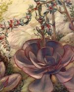 Klik op de afbeelding om de link te volgen