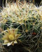 Klik op de afbeelding om de link te volgen