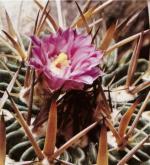 Klik op de afbeelding om de link te volgen