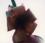 Klik op de afbeelding om de link te volgen