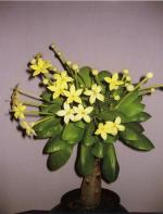 Klik op de afbeelding om de link te volgen