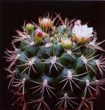 Klik op de afbeelding om de link te volgen