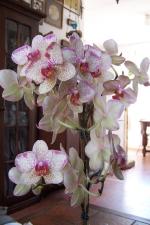 Klik op de afbeelding om de link te volgen