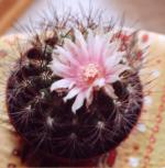 Klik op de afbeelding om de link te volgen