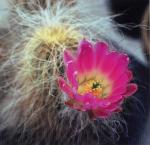 Klik op de afbeelding om de link te volgen