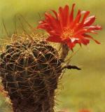 Klik op de afbeelding om de link te volgen