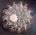 Klik op de afbeelding om de link te volgen