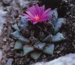 Klik op de afbeelding om de link te volgen