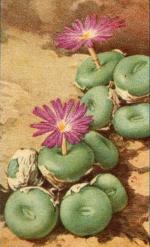 Klik op de afbeelding om de link te volgen