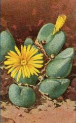 Klik op de afbeelding om de link te volgen