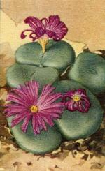 Klik op de afbeelding om de link te volgen