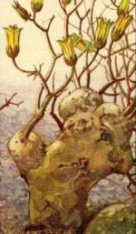 Klik op de afbeelding om de link te volgen