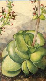 Klik op de afbeelding om de link te volgen