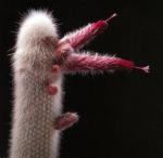 Klik op de afbeelding om de link te volgen