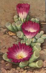 Klik op de afbeelding om de link te volgen