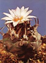 Klik op de afbeelding om de link te volgen